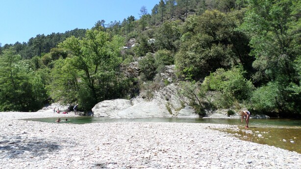 Orilla de río con piedras, árboles y una ladera rocosa.