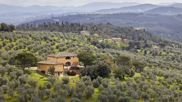 Una villa rodeada de olivares, con montañas al fondo.