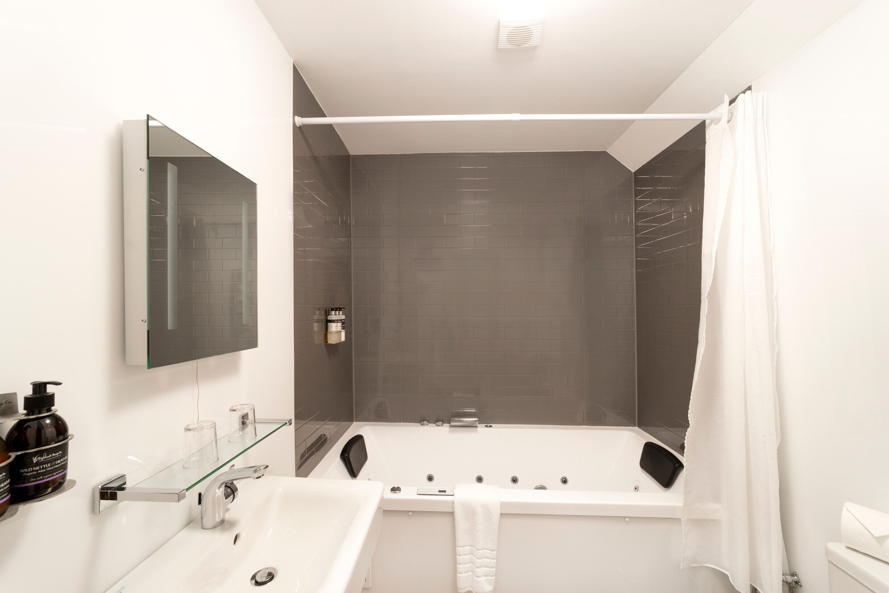 jr. highland suite pet friendly | bathroom | combined shower/bathtub, free toiletries, hair dryer, bathrobes