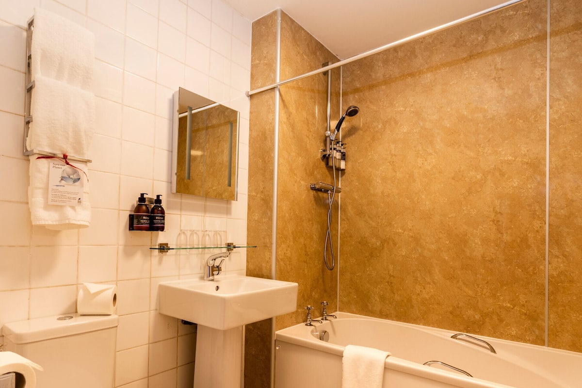combined shower/bathtub, free toiletries, hair dryer, bathrobes