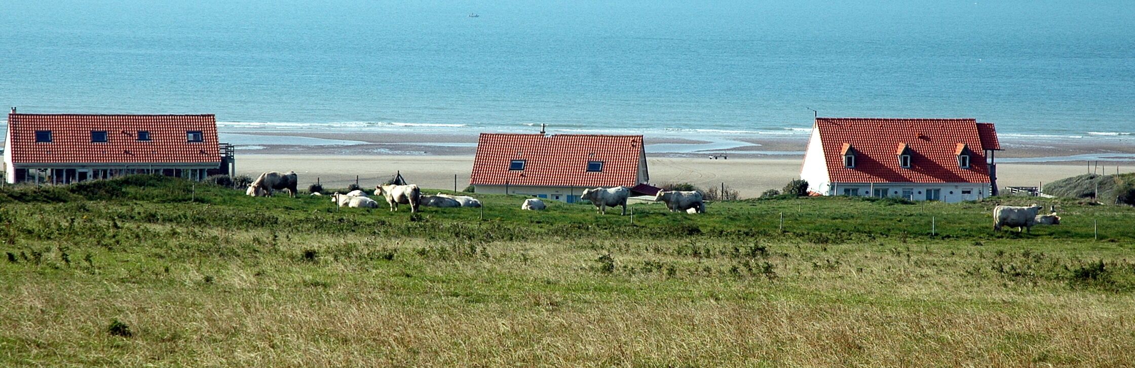 Three red-roofed houses with a grassy foreground and a beach in the background.