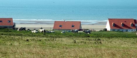 Three red-roofed houses with a grassy foreground and a beach in the background.