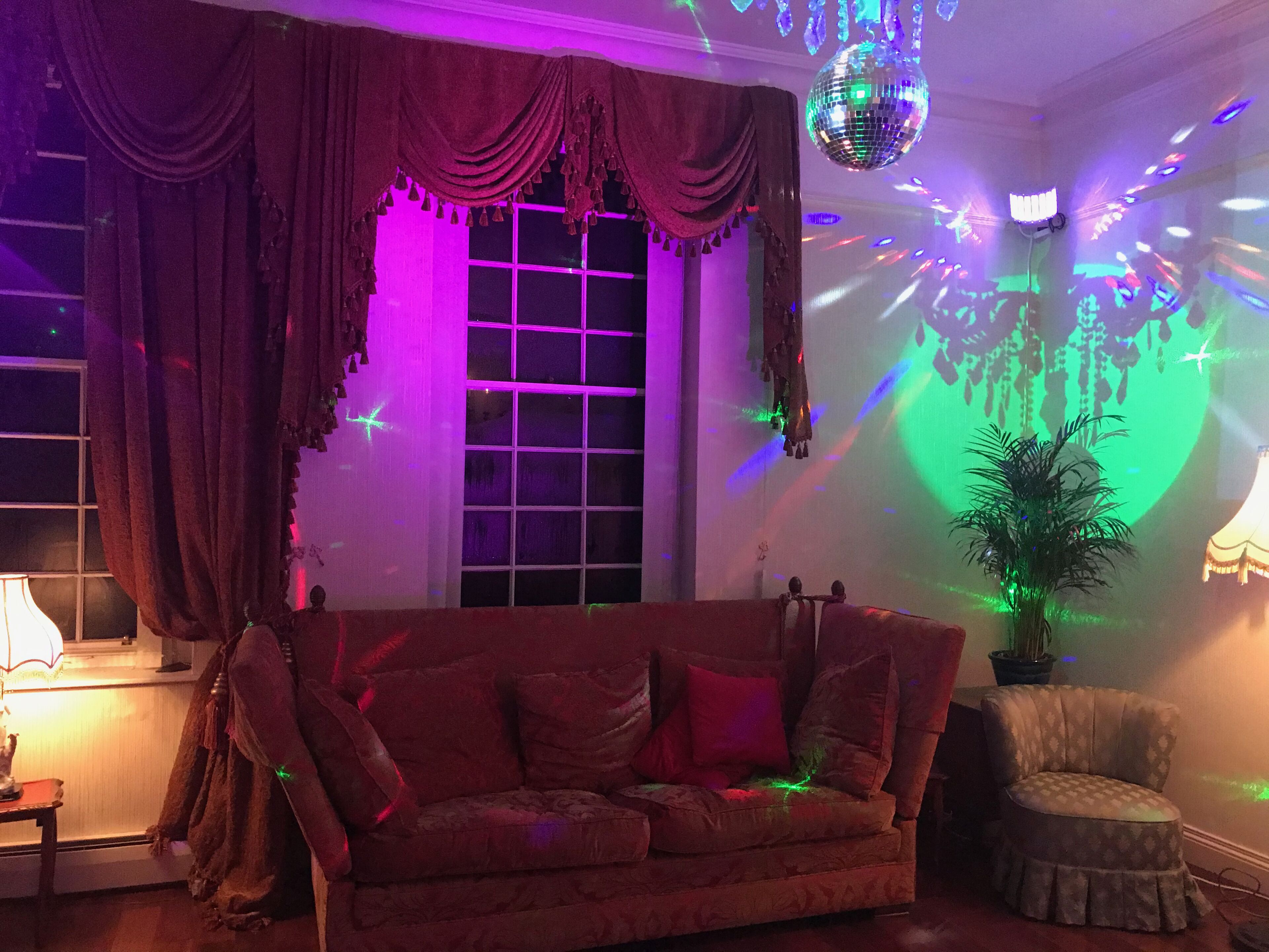 A room with a red sofa, a small table with a lamp, a potted plant, and a disco ball.