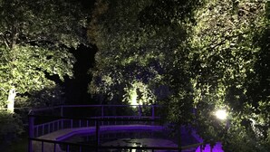 A circular outdoor area with a central fire pit, surrounded by a railing and illuminated by purple lighting. - Inch Schoolhouse - Event Residence (Downpatrick)