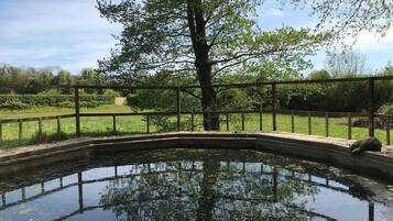Outdoor wedding area