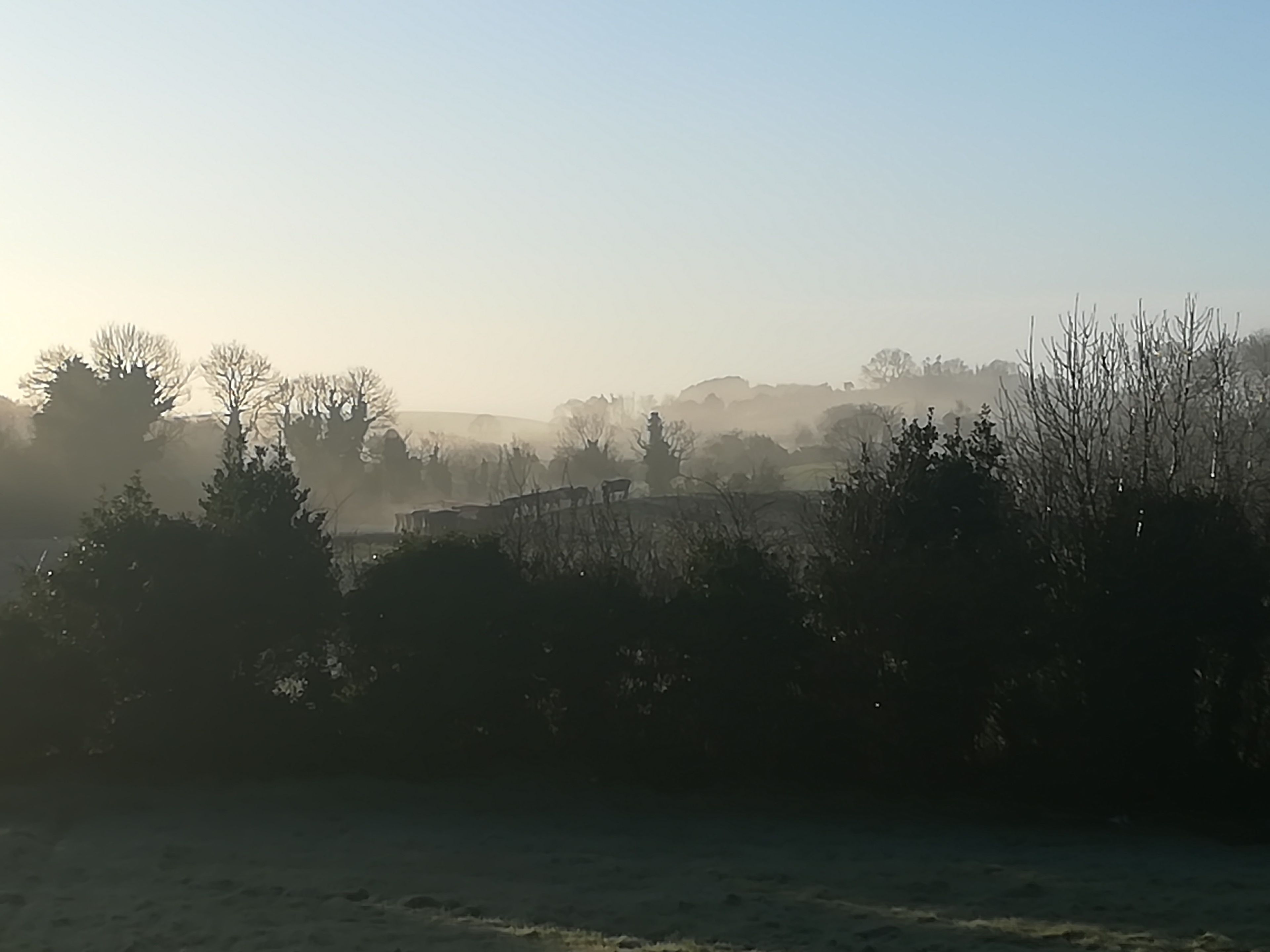 A misty landscape with trees and a distant structure, possibly a building or monument.