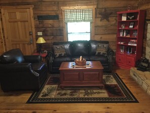 TV, fireplace, DVD player, books