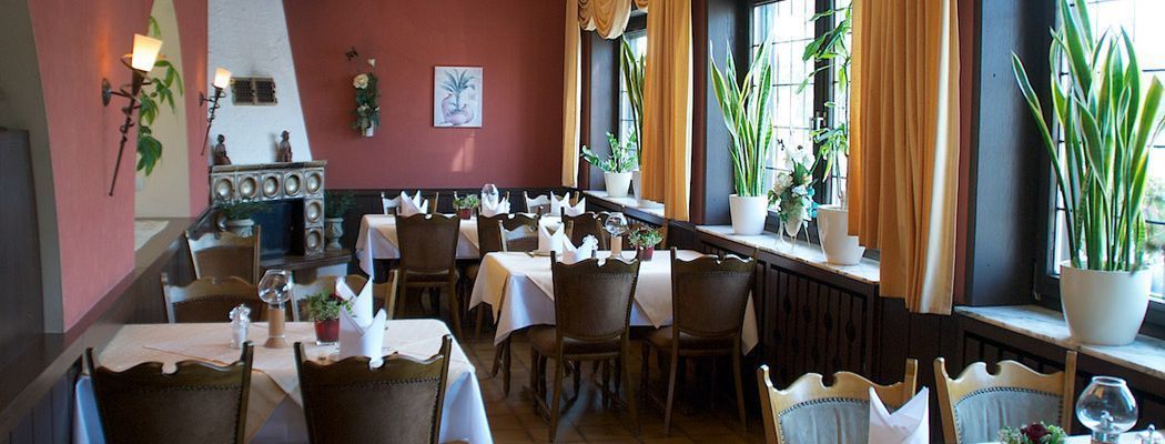 international cuisine