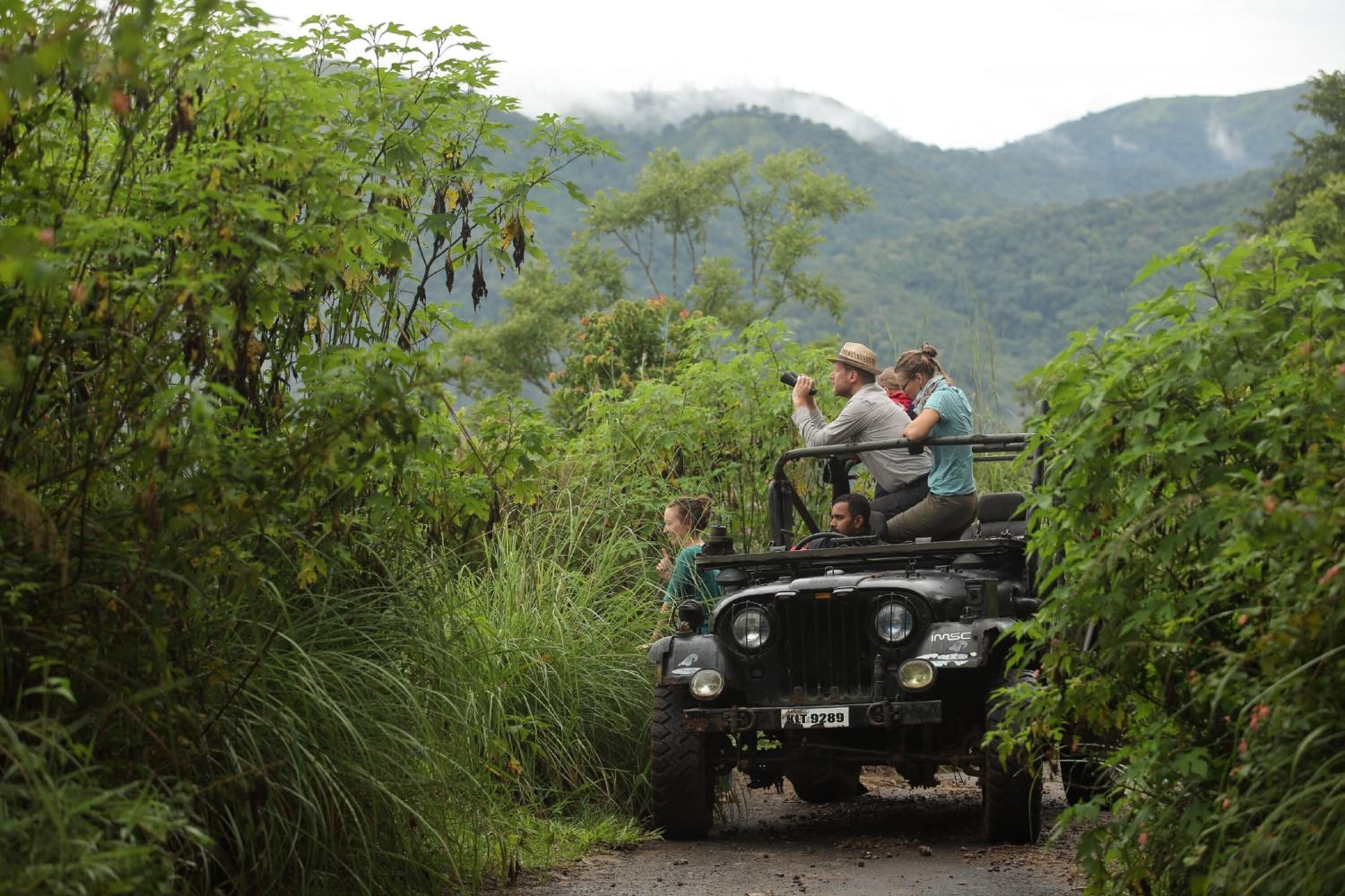 A vehicle navigating a narrow, unpaved path surrounded by dense vegetation and mountains in the background.