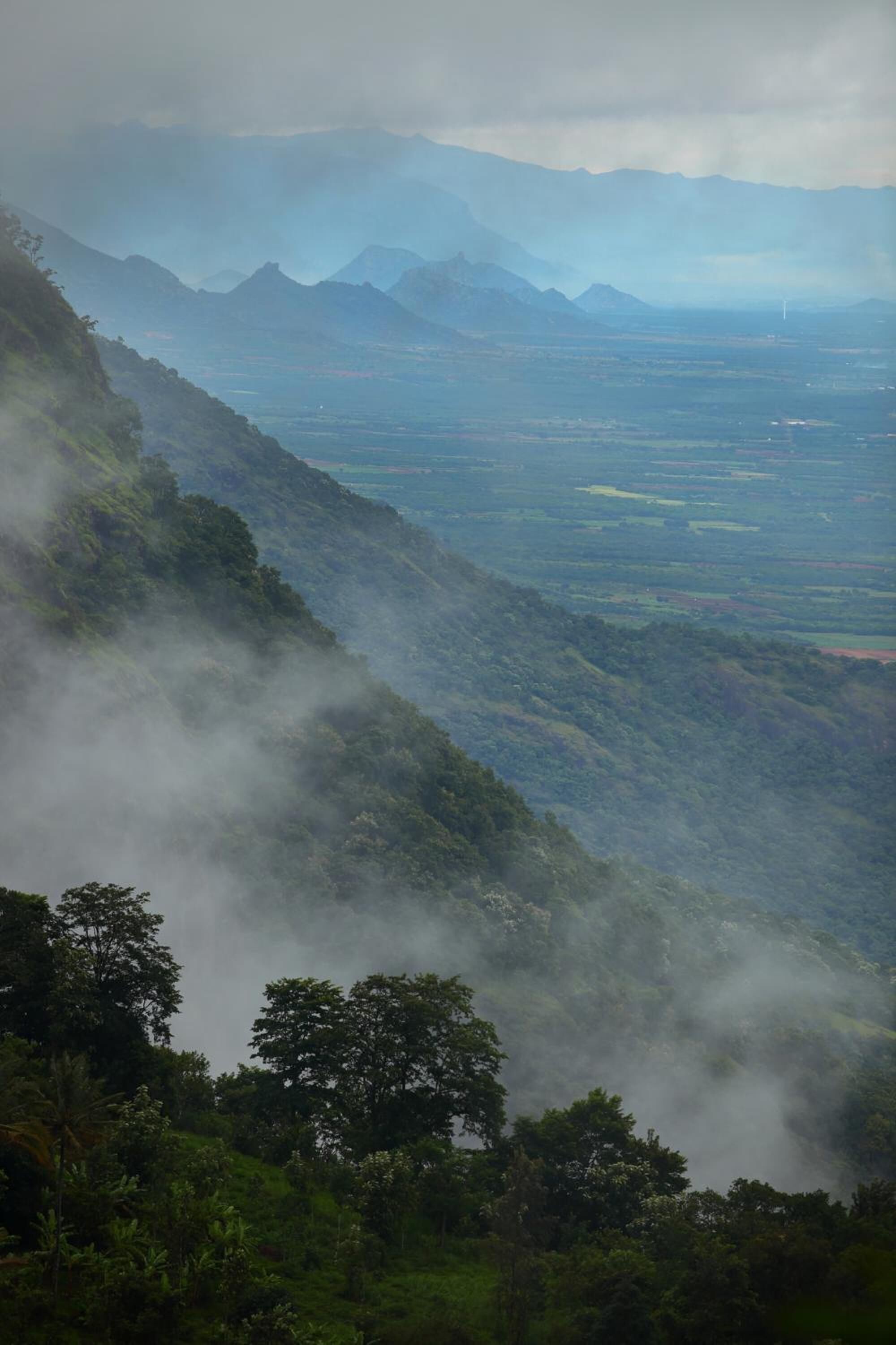 A mountainous landscape with dense vegetation and mist.