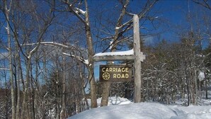 Un cartel de madera con la inscripción 'CARRIAGE ROAD', rodeado de árboles cubiertos de nieve.
