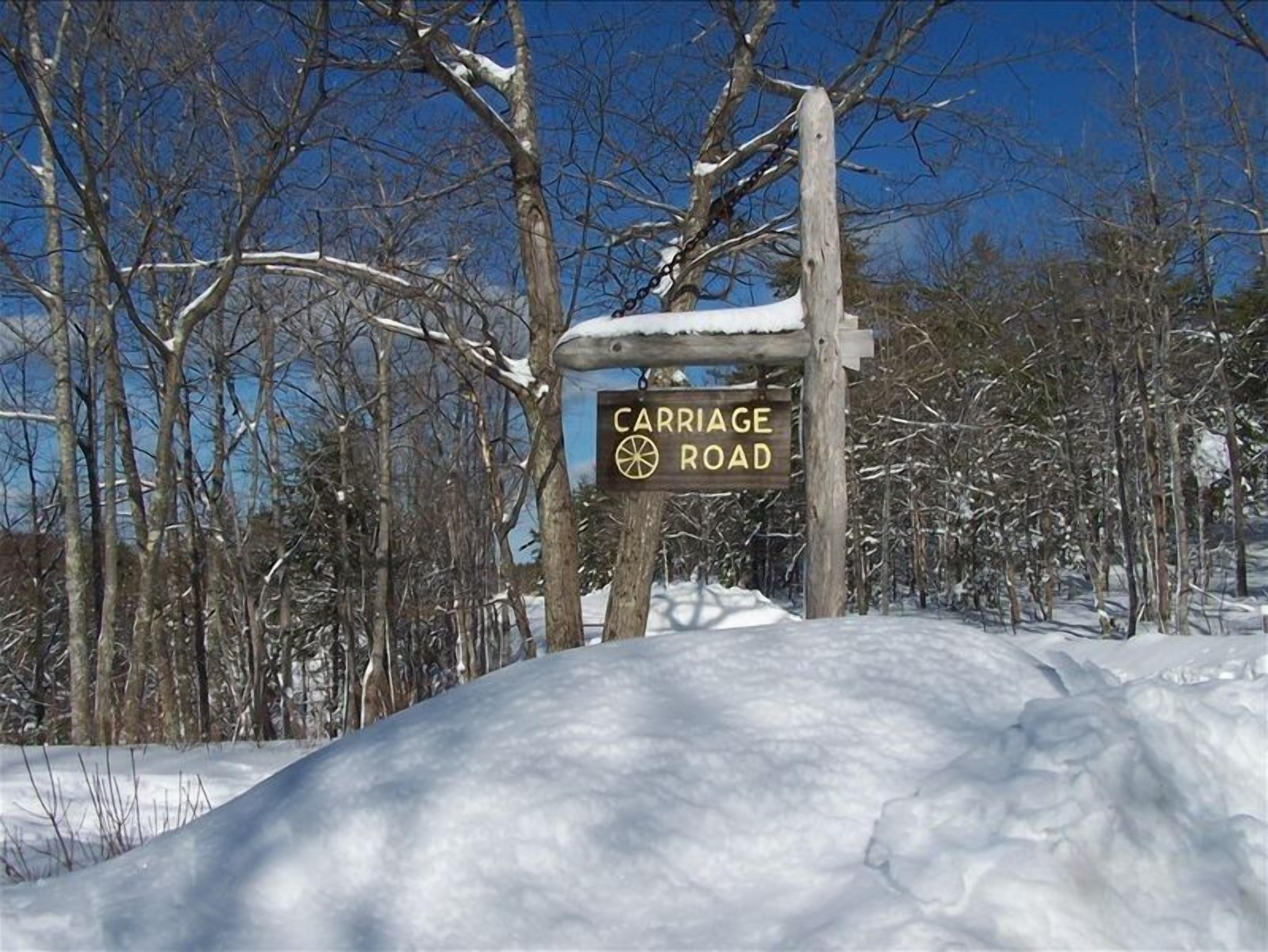 A wooden signpost with 'CARRIAGE ROAD' written on it, surrounded by snow-covered trees.
