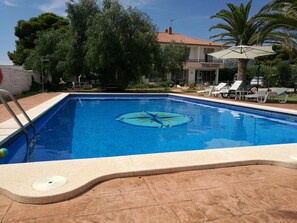 A swimming pool with a circular mosaic, surrounded by lounge chairs and a palm tree. - Hotel Plaza Miami (Mont-roig del Camp)