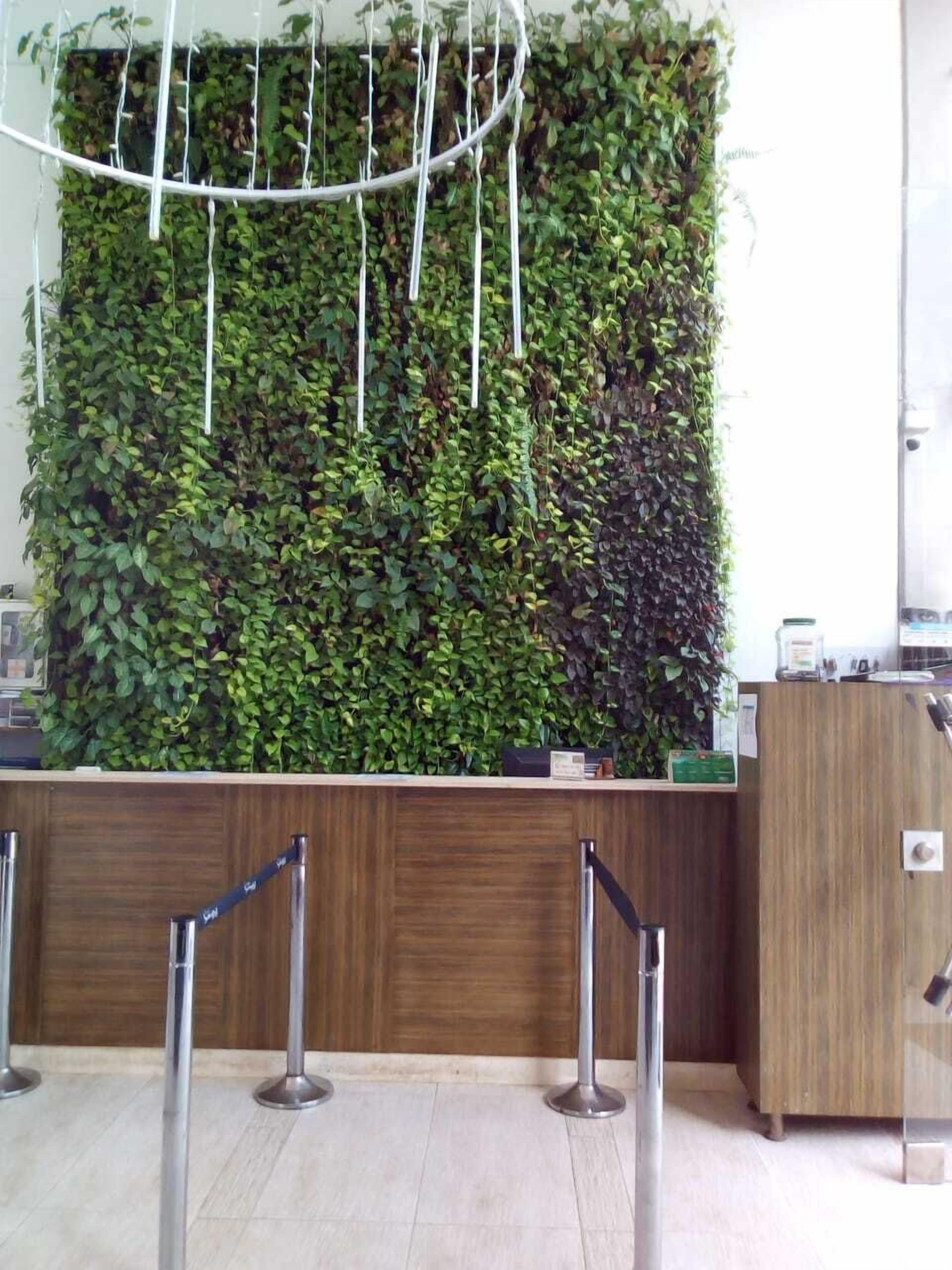 Photo - Suite Sumapaz Hotel