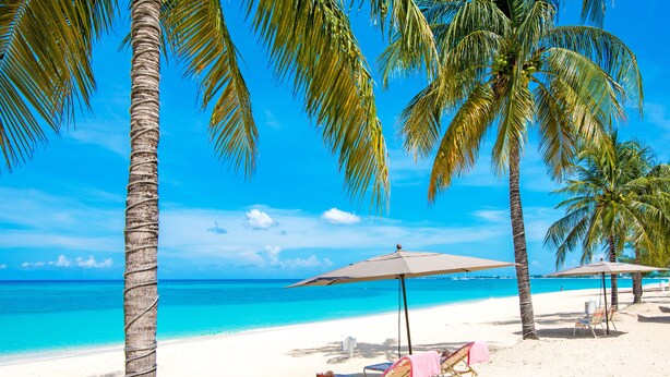 A beach with palm trees, clear blue water, and beach chairs under umbrellas. - The Colonial Club, Oceanfront Condos (Seven Mile Beach)