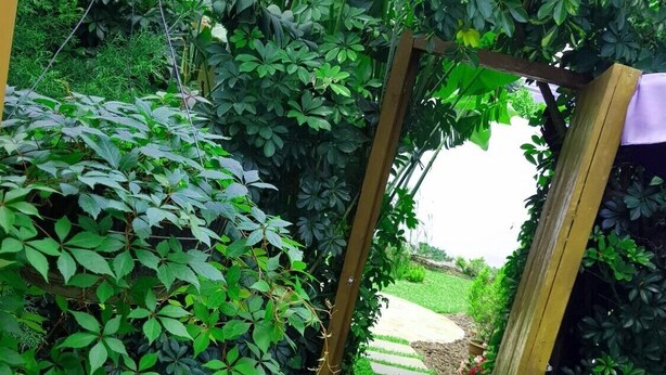 Un sendero en un jardín con un arco de madera rodeado de vegetación exuberante.