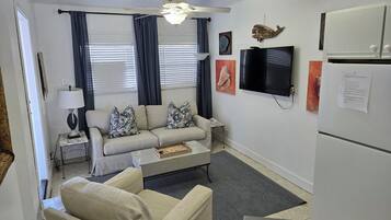 Taulutelevisio, DVD-soitin