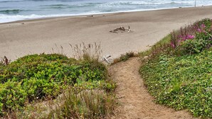 Una playa con un sendero de tierra que lleva a la orilla, rodeada de vegetación verde y flores moradas.