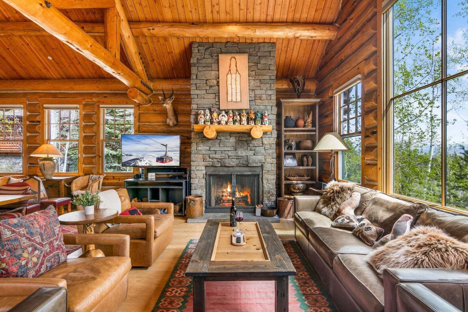 Télévision, cheminée, lecteur de DVD, chaîne hi-fi