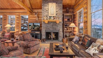 电视、壁炉、DVD 播放器、立体声音响