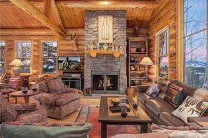 电视、壁炉、DVD 播放器、立体声音响