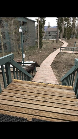 Property grounds - 5-Star 2 Bdrm Condo-Mtn Views-Great Rates-Free WIFI- Personal Owner Contact (Silverthorne)