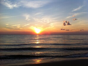 Beach nearby, sun loungers - Adorable cottage with short walk to beautiful ocean beaches and nature trails. (Cape May Point)