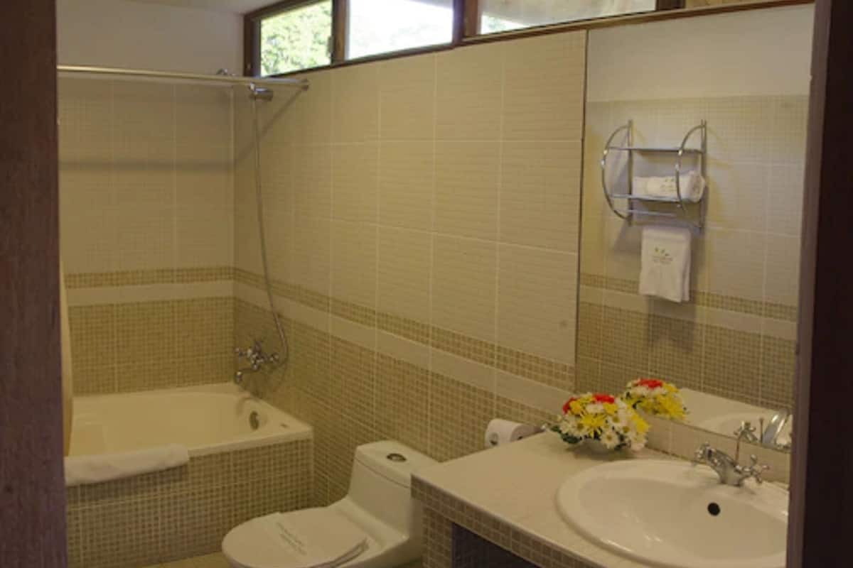 shower, free toiletries, hair dryer, towels