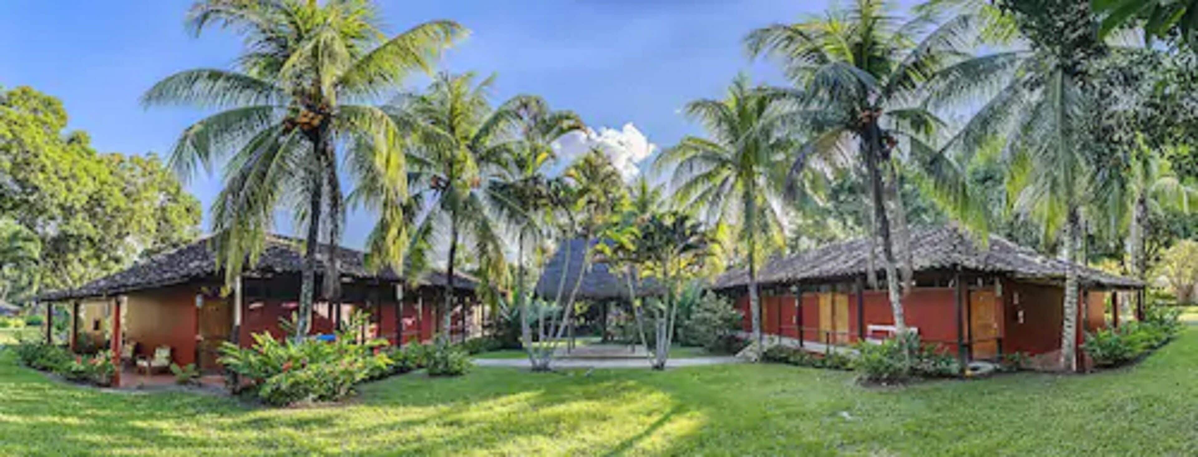 Suite | Minibar, caja de seguridad en la habitación, escritorio y wifi gratis 