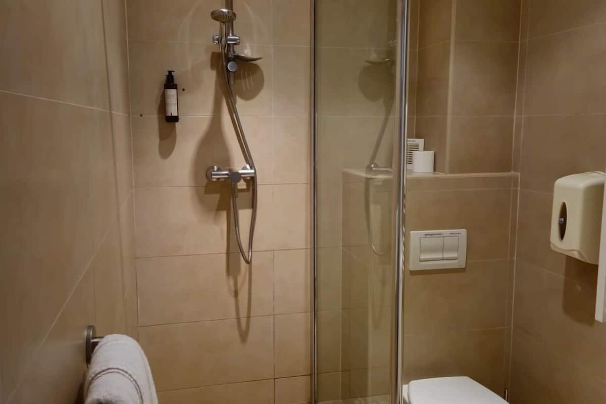shower, free toiletries, hair dryer, towels