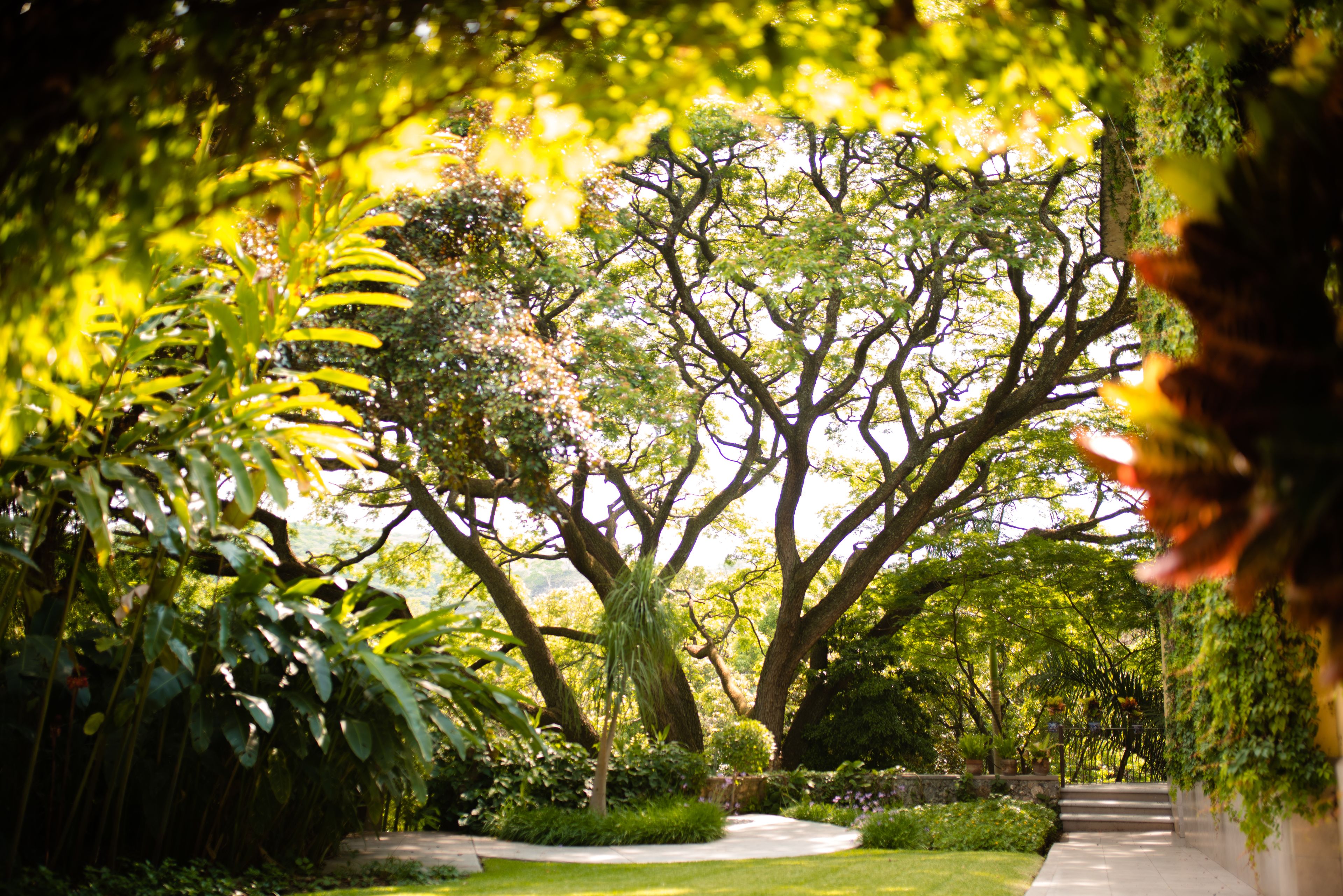 Jardín