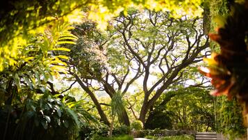 Jardín
