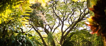 รันโช ลา โจยา