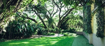 Rancho La Joya