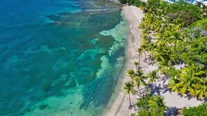 An aerial view of a beach with clear turquoise waters, a sandy shore, and a line of palm trees.
