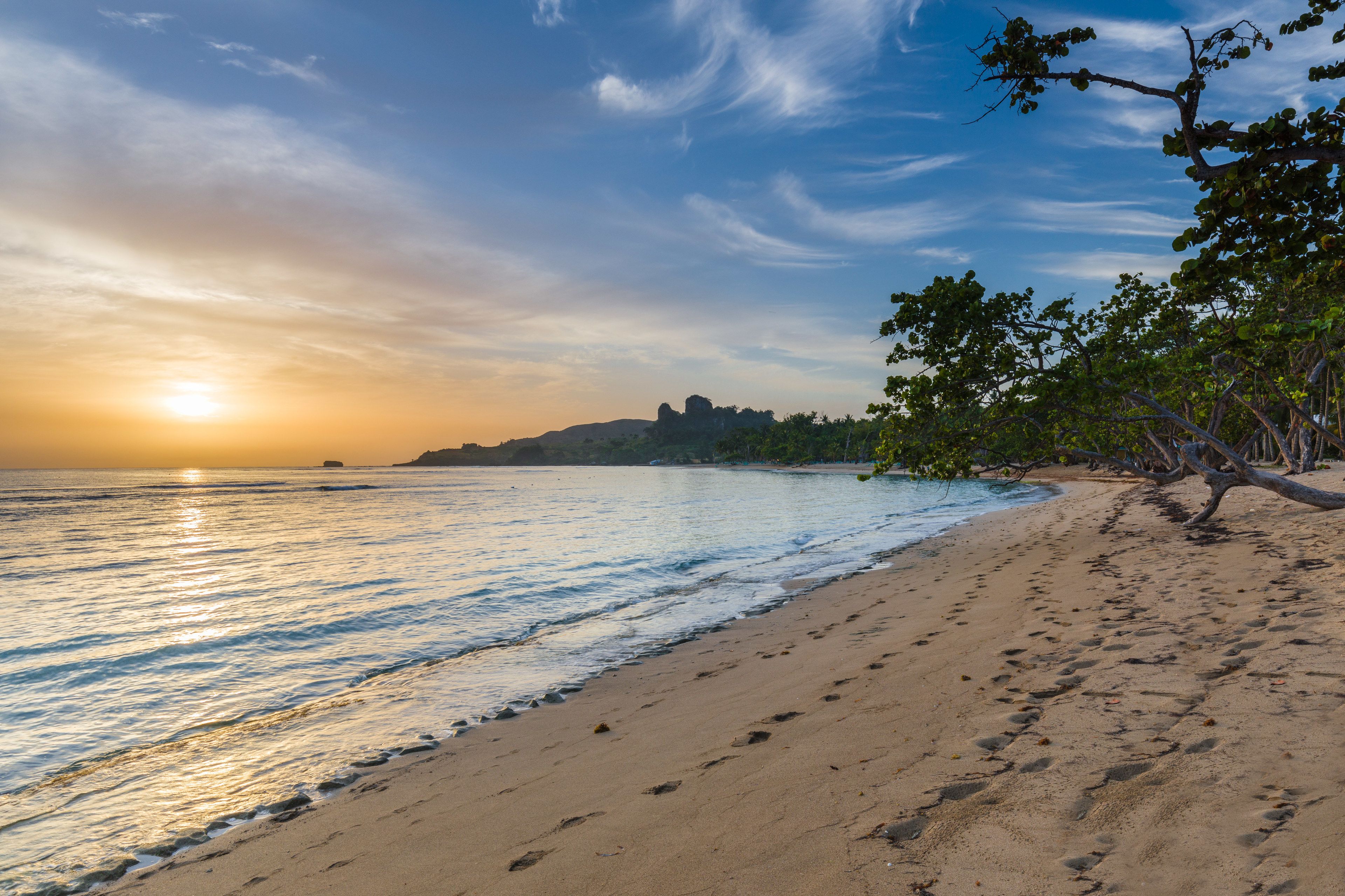 A beach with footprints leading to the water, a tree on the right, and a distant hill.