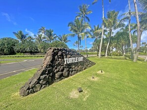 صورة غير مصنفة، 3 من 41، زرّ