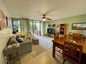 Smart TV, DVD player, books, video library