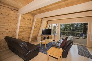 TV, fireplace, books