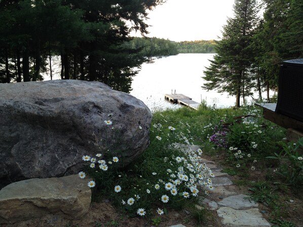 A large rock with daisies in a garden by a lake. - Beautiful lakefront cottage, 1 hour north of Montreal (Wentworth)