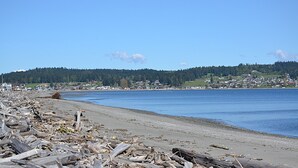 Ein Strand mit Treibholz und einer Stadt im Hintergrund.
