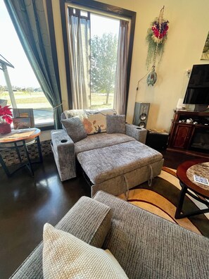 Smart TV, fireplace, DVD player, books - Country get away in small town Waxahachie, Texas on 10 acres (Waxahachie)