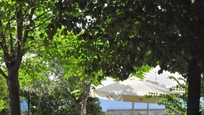 Un hamac sous un arbre, un parasol blanc et, au fond, un bâtiment avec une enseigne bleue et jaune.