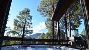 Un jacuzzi con vistas a altos pinos y una montaña al fondo.