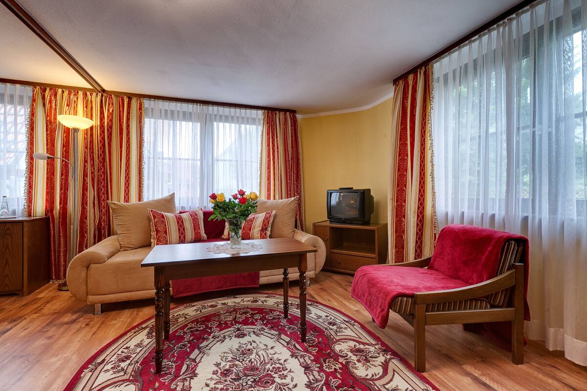 basic double room | living area | flat-screen tv