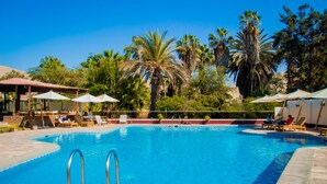A swimming pool with lounge chairs and umbrellas, surrounded by palm trees and greenery. - DM Hoteles Mossone Ica (Ica)