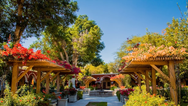 A courtyard with a central fountain, surrounded by covered seating areas and lush greenery. - DM Hoteles Mossone Ica (Ica)