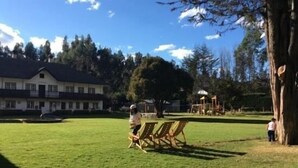 Un espacio verde con sillas de madera y un árbol grande.