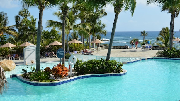 A pool area with palm trees, lounge chairs, and a view of the ocean.