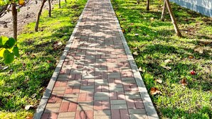 Un camino pavimentado bordeado por árboles de hojas verdes, que conduce a un edificio de fachada blanca.